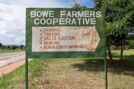 Department of Cooperatives
